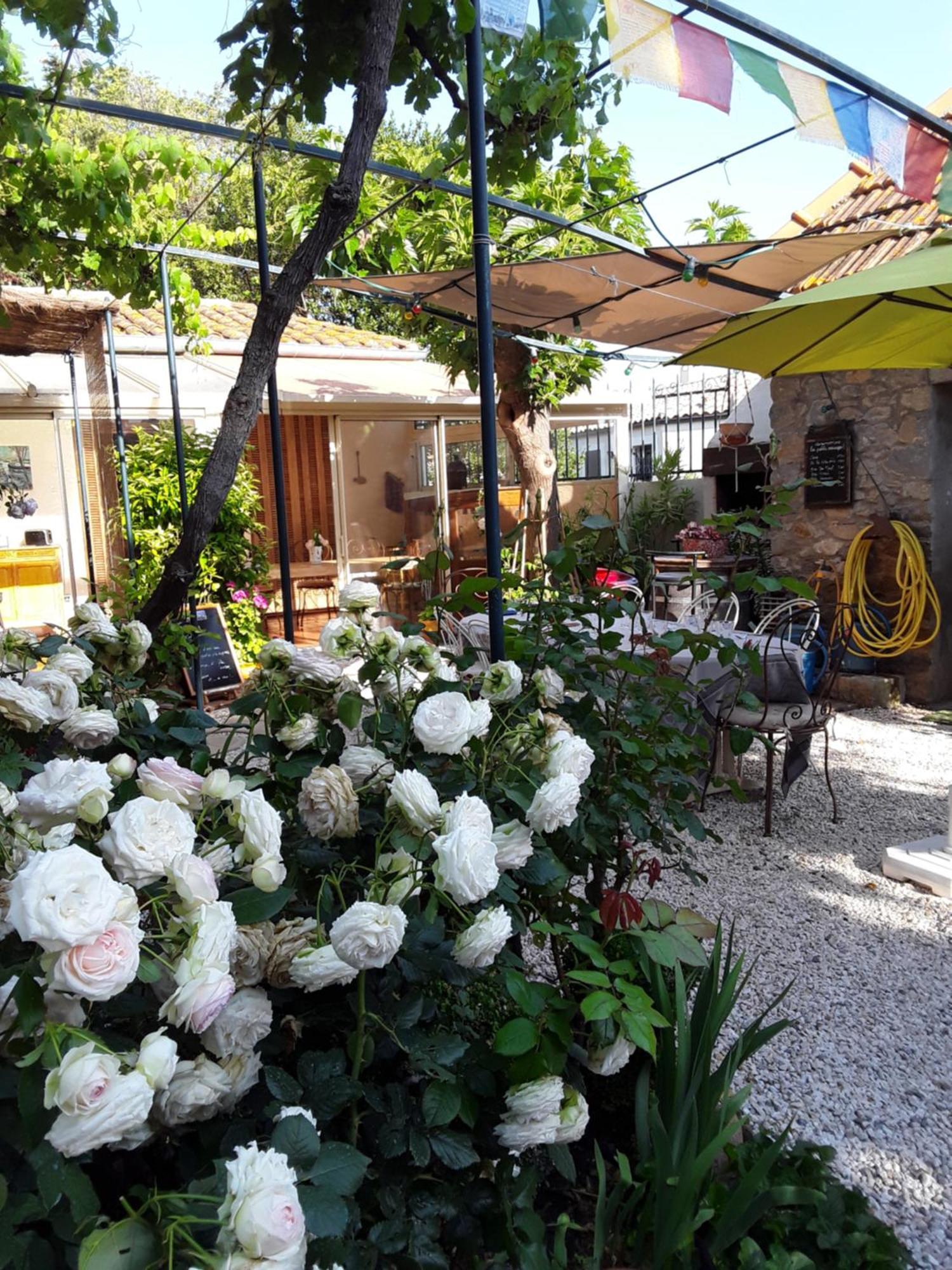Les Terres Basses Hotel Fabrezan Exterior foto